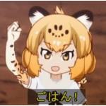 userPhoto