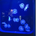 ユーザー画像