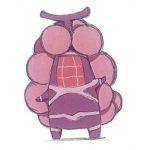 ワシ