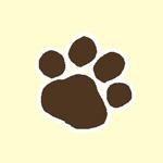 動物カテゴリクルーズ