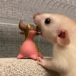 お湯