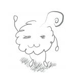 きっきょん