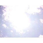 やまぶどう
