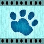 nekowatari