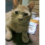 userPhoto
