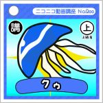 アカクラゲ