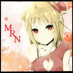 Mr.N