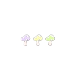 のこ子