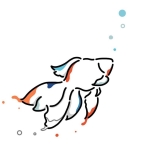 userPhoto