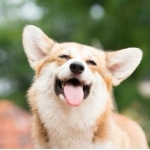 ユーザー画像