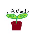 らーじゅ