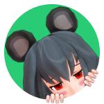 ねずみん