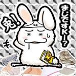 兎!