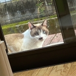 userPhoto