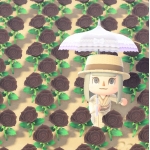 userPhoto