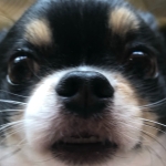 ユーザー画像