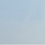 userPhoto