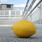 絹ごし