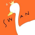 swan