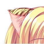 ゆき