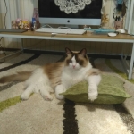さな