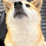 ささくれ