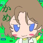 かめ