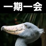 トリハチ