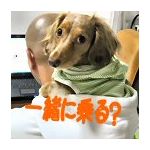 睦月