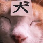 猫助