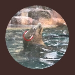 カンテラ