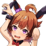 剥製チーズ