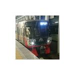-迷列車名鉄車両編-大地