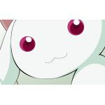 モイスチャー