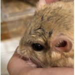 ユーザー画像