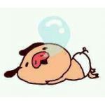 userPhoto