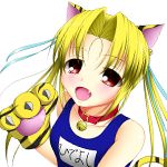 アイモ