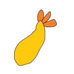 ebi