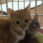 userPhoto