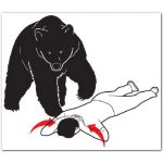 クマやん