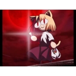 ねこある
