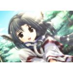 なごり之