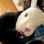 にゃんぴょう