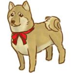 かぴかぴ