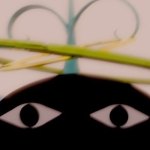 菅原瑠依