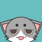 ぴょこた
