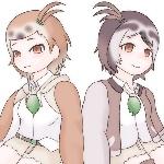 眞菜