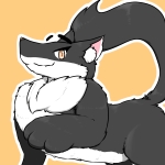 シロクロマゲ