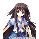 ゆずぽん