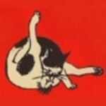 nyantom7